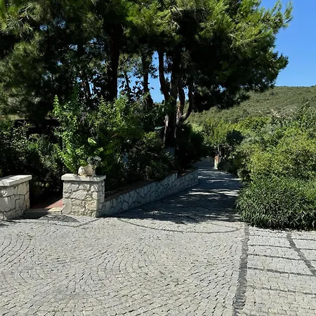 Casa Del Olivia Willa