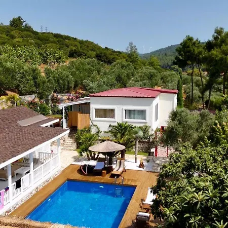 Casa Del Olivia Villa