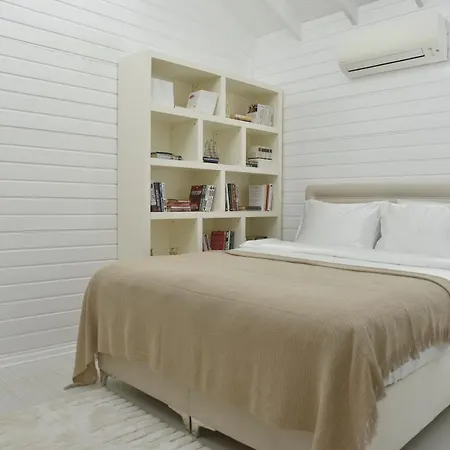 Casa Del Olivia 别墅