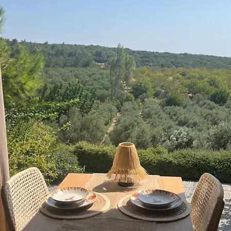 别墅 Casa Del Olivia