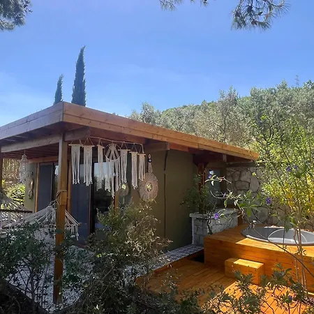 빌라 Casa Del Olivia