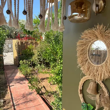 Casa Del Olivia Villa