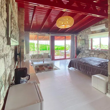 Casa Del Olivia