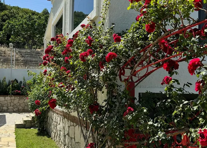 Casa Del Olivia Villa Seferihisar