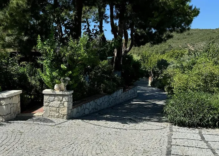Casa Del Olivia Villa
