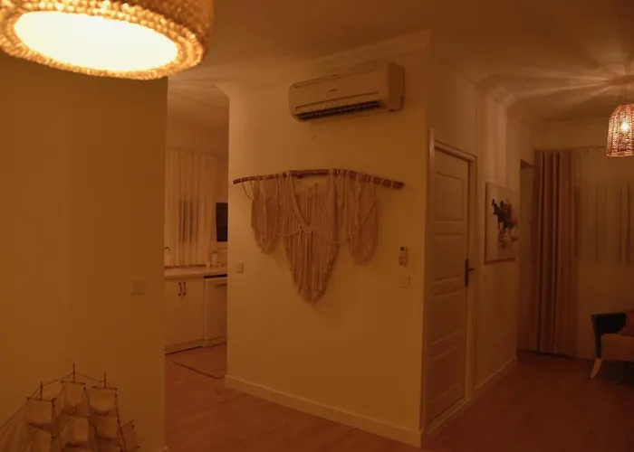 Casa Del Olivia Villa *