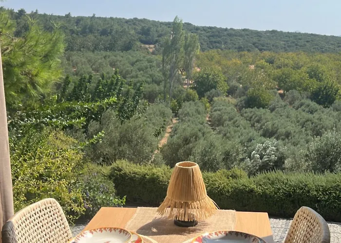 Villa Casa Del Olivia