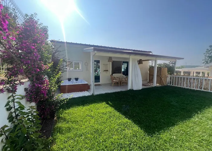 Casa Del Olivia Villa