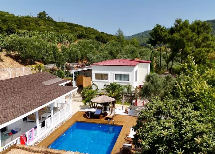 Casa Del Olivia Villa