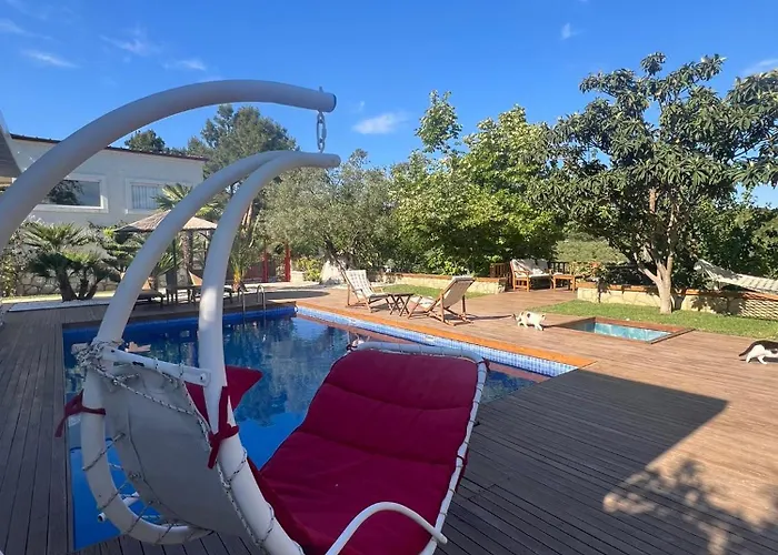 Casa Del Olivia Villa